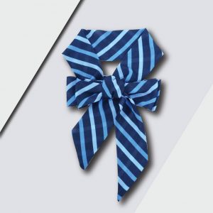 Nơ - Cà Vạt - Carvat đồng phục in theo yêu cầu 13