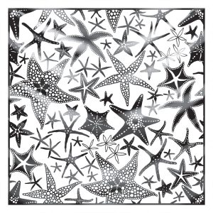 khăn bandana họa tiết biển - Mã 04 30