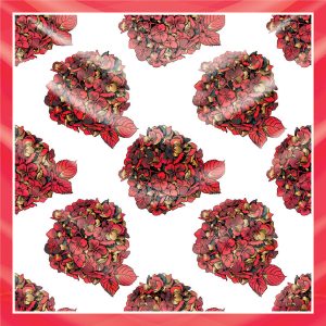 khăn bandana lụa silk họa tiết hoa - Mã 34 42