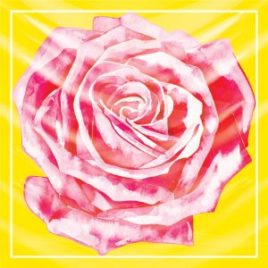 khăn bandana lụa silk họa tiết hoa - Mã 30 34