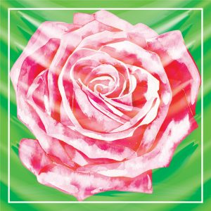 khăn bandana lụa silk họa tiết hoa - Mã 30 44