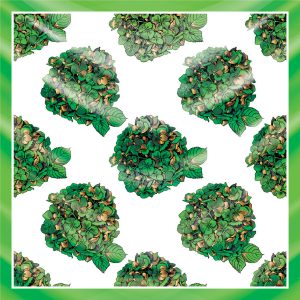 khăn bandana lụa silk họa tiết hoa - Mã 34 22