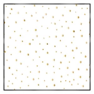 khăn bandana lụa silk họa tiết bầu trời - Mã 24 30